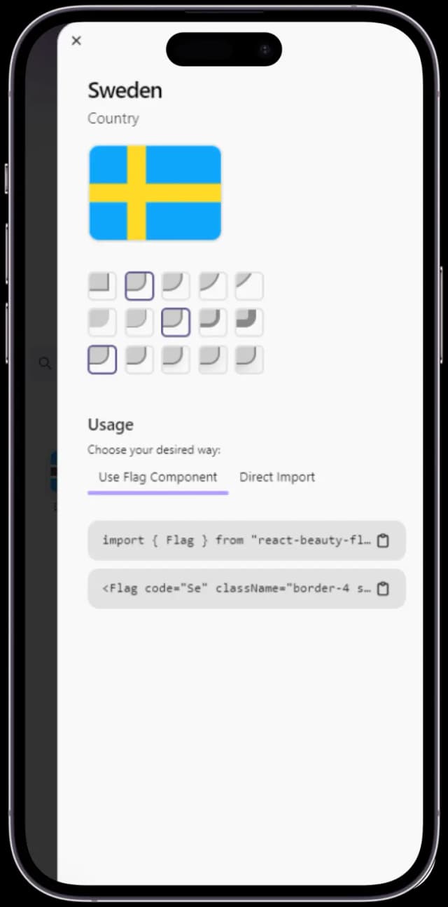 Flag details with interactive elements and the needed commands